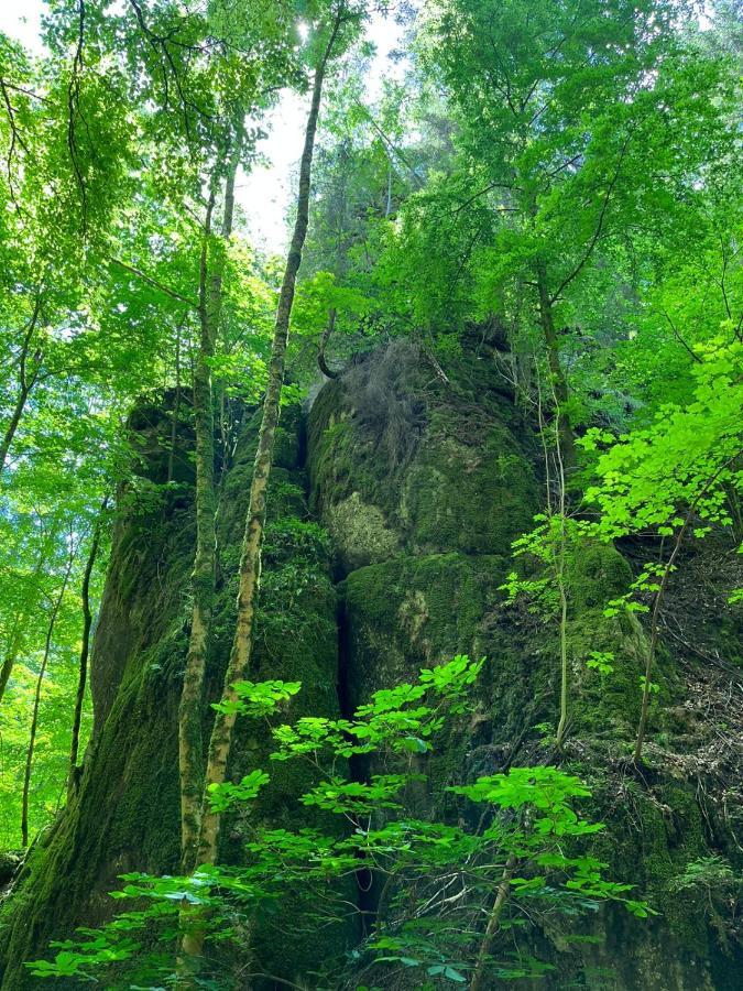 Mit Wohlfühlfaktor Und Ausblick Apartamento Schnaittach