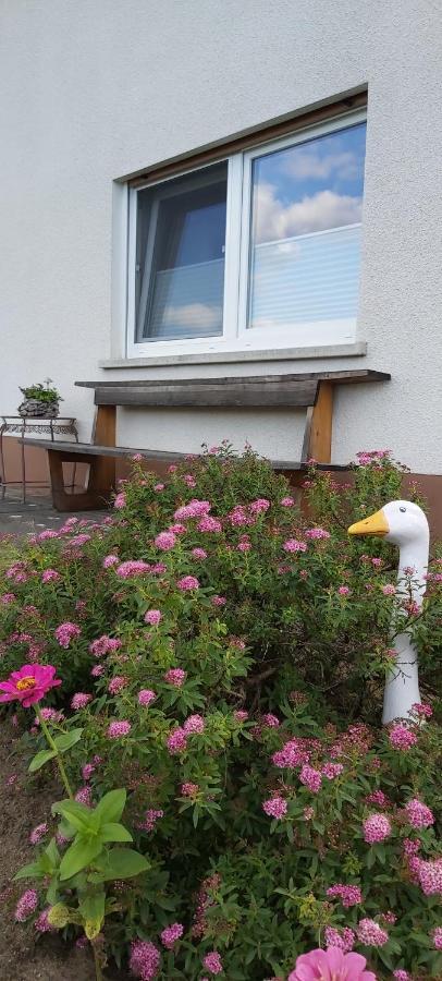 Apartment Mit Wohlfühlfaktor Und Ausblick
